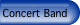 Concert Band